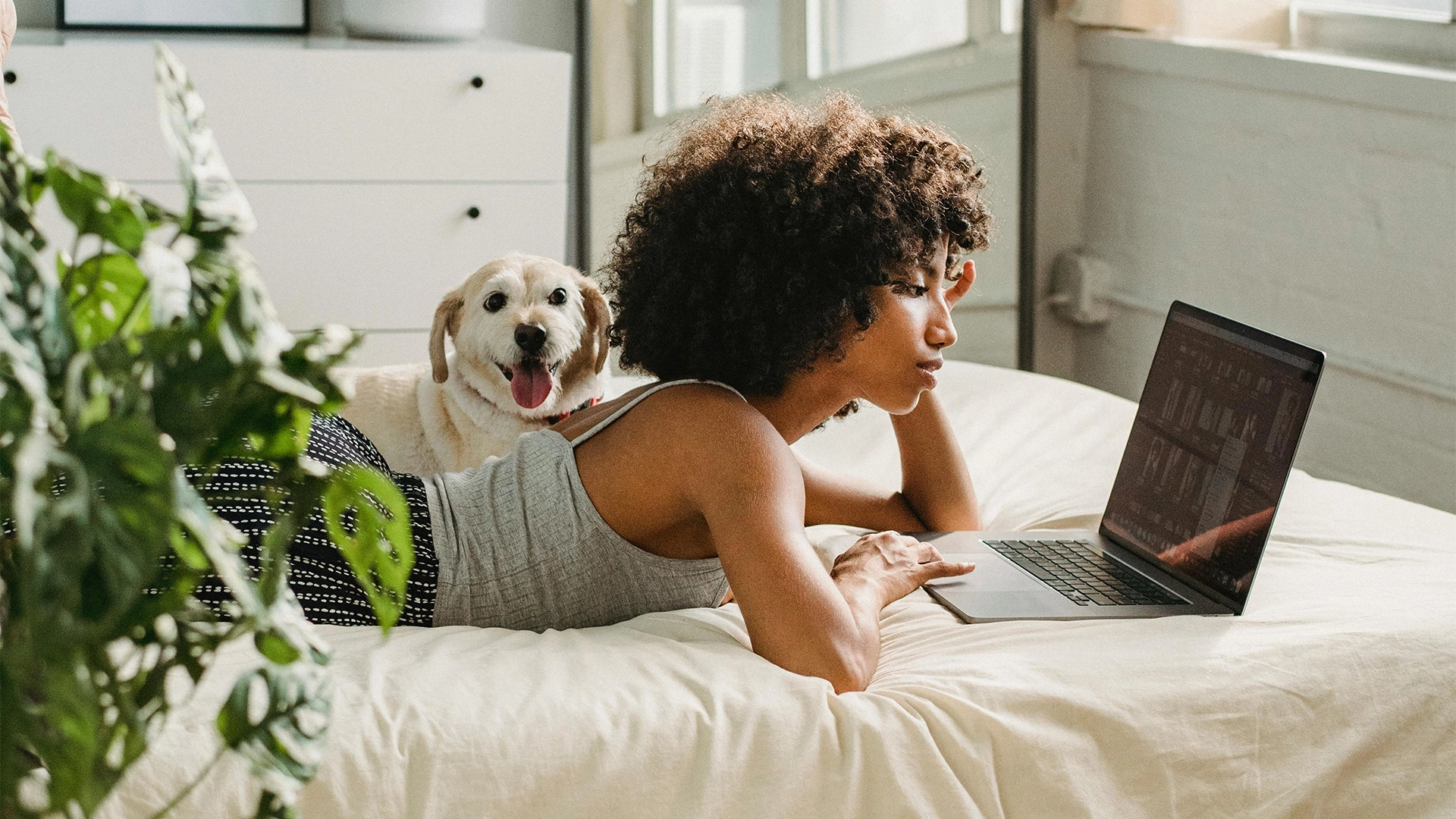 Lady laying down on her bed working on a laptop with a dog